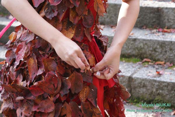 Dress of autumn leaves 2009