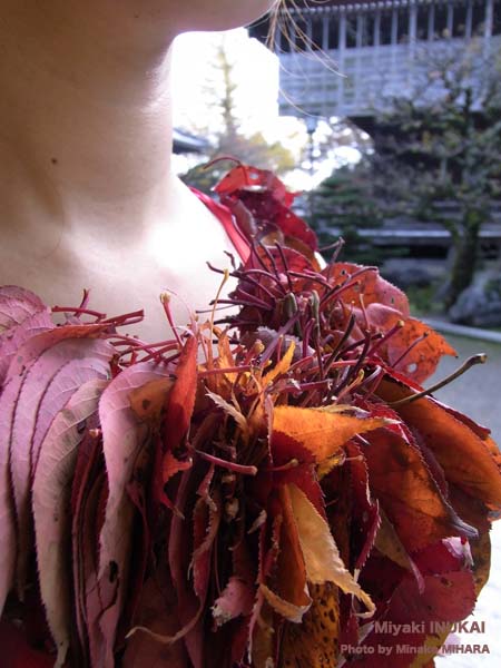 Dress of autumn leaves 2009